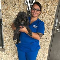 Sitter Profile Image: Courtney S.