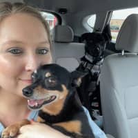 Sitter Profile Image: Megan C.