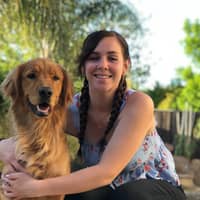 Sitter Profile Image: Rachel C.