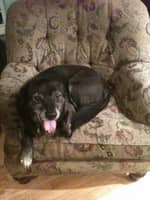 Sitter Profile Image: Heather L.