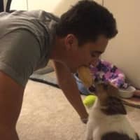 Sitter Profile Image: Stefan K.