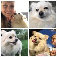 Sitter Profile Image: Melissa K.