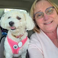 Sitter Profile Image: Sandy W.