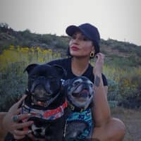 Sitter Profile Image: Chelsea L.