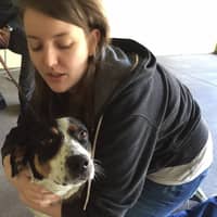 Sitter Profile Image: Liz S.