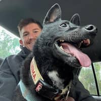 Sitter Profile Image: Nicholas K.