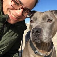 Sitter Profile Image: Dina T.