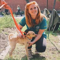 Sitter Profile Image: Cierra V.