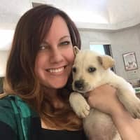 Sitter Profile Image: Meredith R.