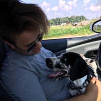 Sitter Profile Image: Elisa A.