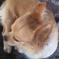 Sitter Profile Image: Michelle & Jennifer H.