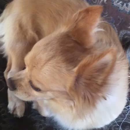 Sitter Profile Image: Michelle & Jennifer H.