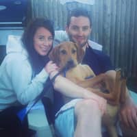 Sitter Profile Image: Allison R.