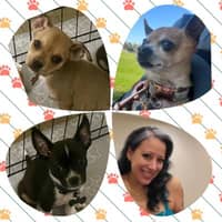 Sitter Profile Image: Cynthia S.