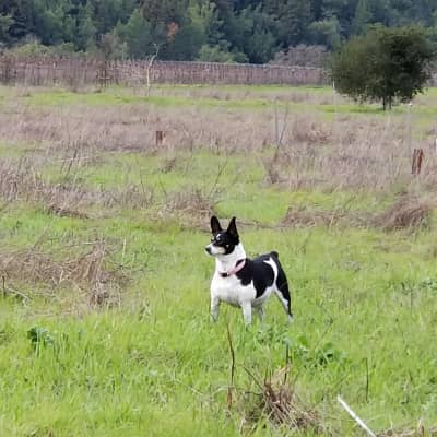 Sitter Profile Image: Jaycee c.