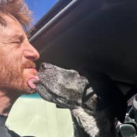 Sitter Profile Image: Mike H.