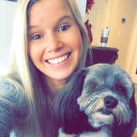 Best Dog Boarding In Palm Beach Gardens Fl Rover Com