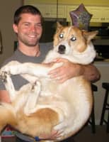 Sitter Profile Image: Peter H.