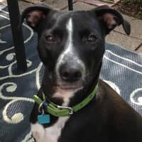 Sitter Profile Image: Marie K.