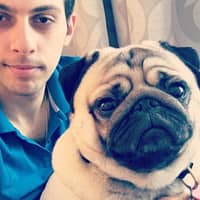 Sitter Profile Image: Artak A.