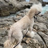 Sitter Profile Image: Sandra R.