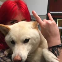 Sitter Profile Image: Brittany M.