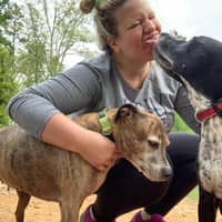 Sitter Profile Image: Shelby N.