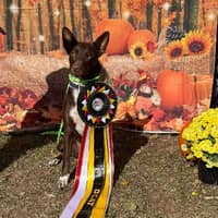 Sitter Profile Image: Karen D.