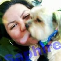 Sitter Profile Image: Saphire D.