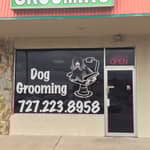 Sitter Profile Image: Joshua W.