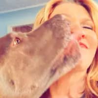 Sitter Profile Image: Chantel C.