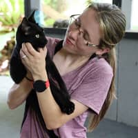 Sitter Profile Image: Ashley & Nicholas W.