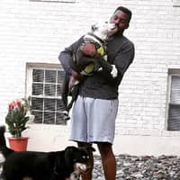 Sitter Profile Image: Dimitri R.