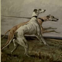 Sitter Profile Image: Toney D.