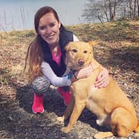 Sitter Profile Image: Allie D.