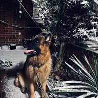 Sitter Profile Image: Jeyda A.