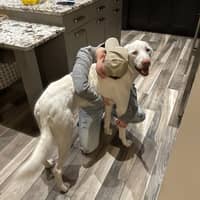 Sitter Profile Image: Hayden F.