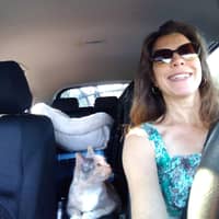 Sitter Profile Image: Breccia C.