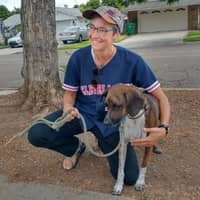 Sitter Profile Image: Jules A.