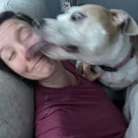 Sitter Profile Image: Kellyanne H.