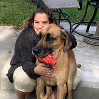 Sitter Profile Image: Alexandra G.