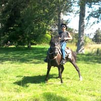 Sitter Profile Image: Jonzo C.