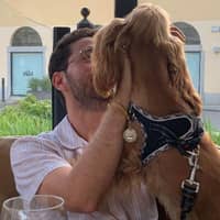 Immagine del profilo del sitter: Ben P.