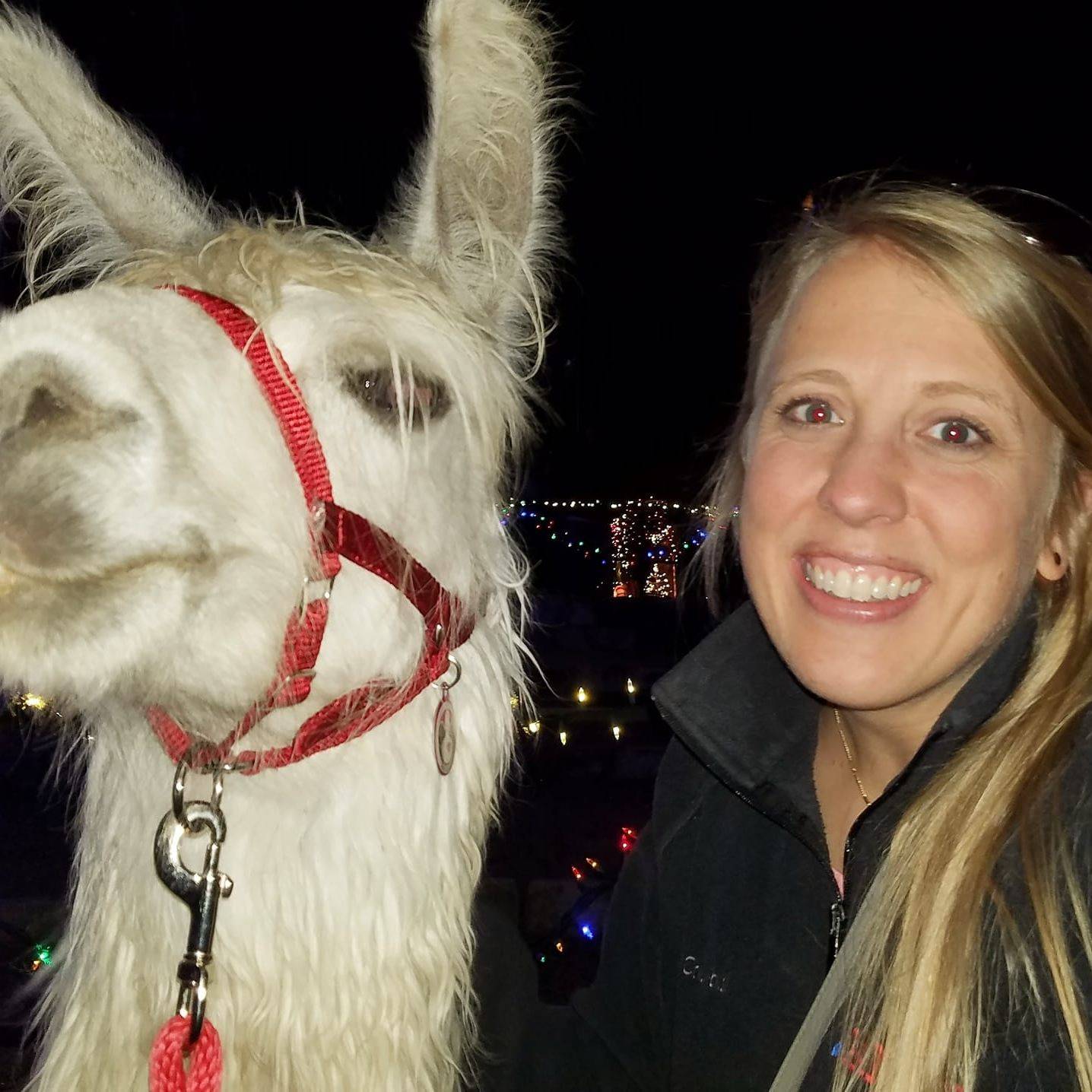 Best Dog Boarding In Georgetown Tx Rover Com