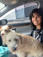 Photo de profil du pet sitter : Daniela B.