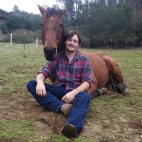 Sitter Profile Image: David P.