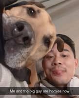 Sitter Profile Image: Eric C.