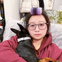 Sitter Profile Image: Yan J.