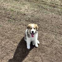 Sitter Profile Image: Kristen J.