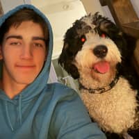 Sitter Profile Image: Bo A.